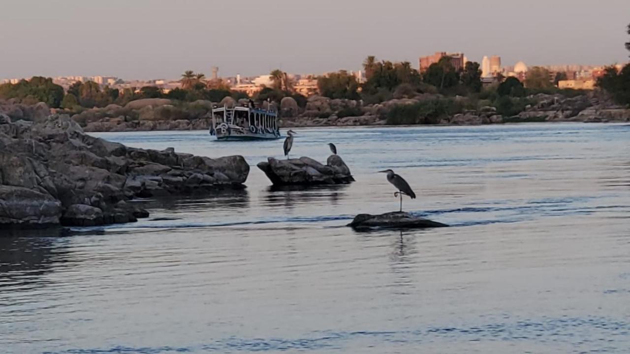 Adad Noubian House Villa Aswan Exteriör bild