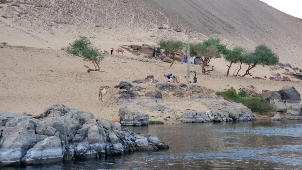 Adad Noubian House Villa Aswan Exteriör bild